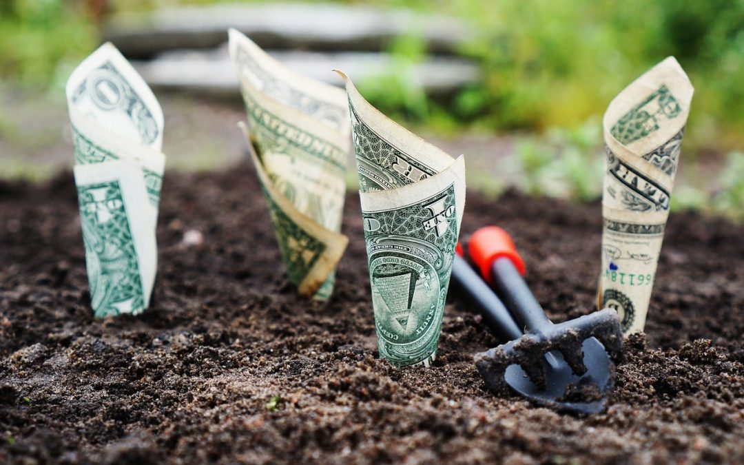 Mastering Tax Planning vs. Tax Management